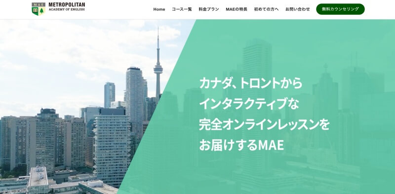 Metropolitan Academy of English